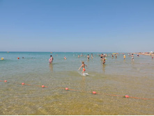 ���� ���� � ����