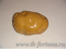 20-535 ����� "���������" 9*7 ��., ������� 24.60