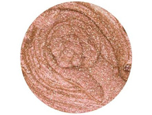 Professional 201.jpg