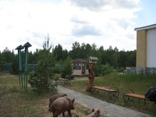 IMG 2861.JPG