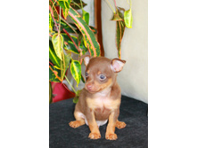 ���� ����� ����