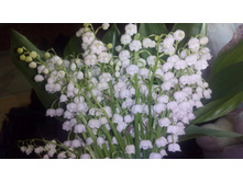 P 20160528 171714.jpg