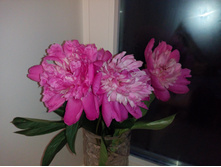 IMG 20160610 214441.jpg