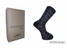 55,00 �� ����