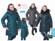 ���� -2017-029.jpg