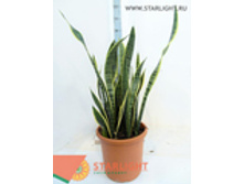 ���������� �������� (90) 8 105.00