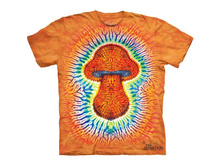 Productvar 43447.jpg