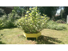 �������������� ����