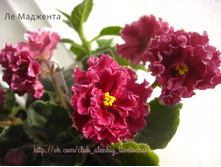 �� ��������