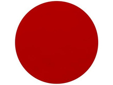 Professional 732.jpg