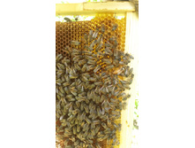 20160605 114221[1].jpg