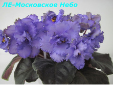 �� ���������� ����.jpg