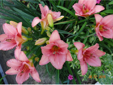 �������� �������