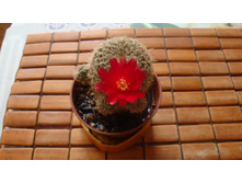 �������������