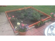 �������������� ����