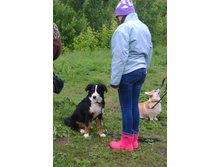 IMG 20160608 191906.jpg