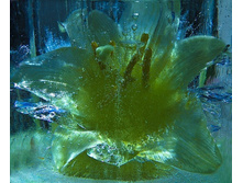 1335687814-737671-82291358 3166706 669569.jpg