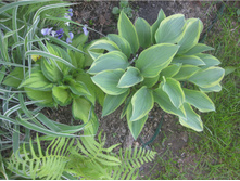 ����� ��� �����