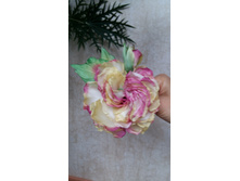 20151001 105926[1].jpg