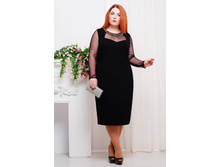 ������ CI �����