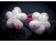 ������� �������: RV076