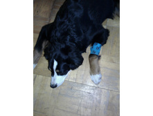 IMG 20160602 180150.jpg