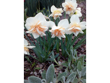 IMG 20150516 171803.jpg