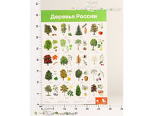 ���2883 ������ ������� ������ 2883 25,67.jpg