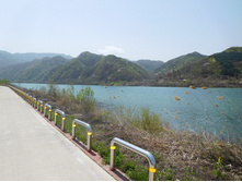 DSCN0719.JPG