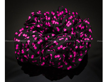 ������� ������� ��� ����� �������: Z-116