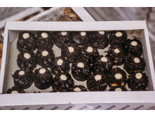 ��������� .jpg