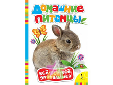 IMG 385a1c23231f.jpg