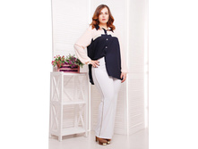 ����� CI ������