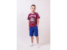 Phoca thumb l 1-685 1-729.jpg