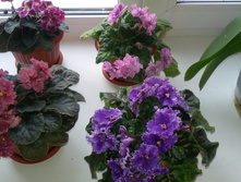 20160605 180835-1.jpg