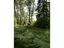 ��������  (71).JPG