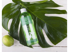 130 ��� ���� ��� ���� Classic <<������ � ����>> ����������� 250 ��