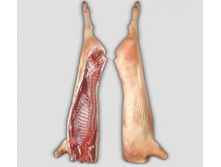 ��������� ������