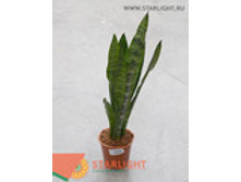 ���������� ���� ����� (70) 1 995.00