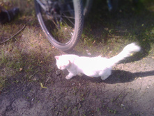 IMG 20160618 152834.jpg