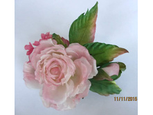 FB IMG 1465382807397[1].jpg