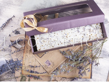 ���� ��������� ������������� «�������» (���� �� ������)