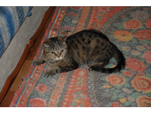 8.09.2013� �.���������. ��� (62).JPG