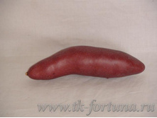 20-752 ����� "��������� �������" 15 ��., ������� 34.90