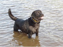 13445385 1045779705471270 7221539084742845863 n.jpg