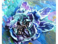 FB IMG 1465382860927[1].jpg