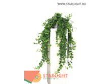 ������ ���� ������ (100) 1 495.00