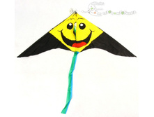 ��458050 ��������� ���� �������, 120-60 �� 101300� 105,43.jpg