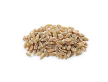 ����� ���, �����, 500 �� ������