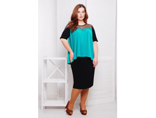 ������ CI ������